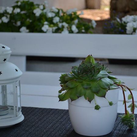 Apartman Kamenar Rijeka Exterior foto